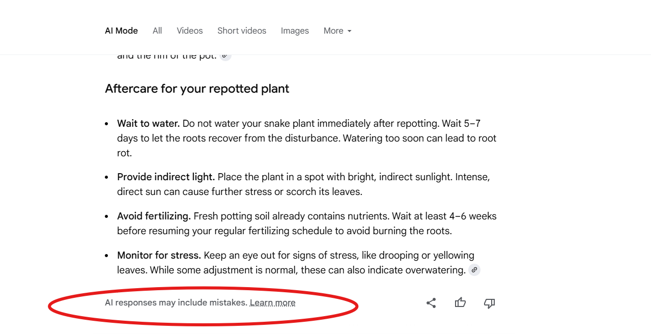 snapshot-highlighting-the-disclaimer-in-ai-mode