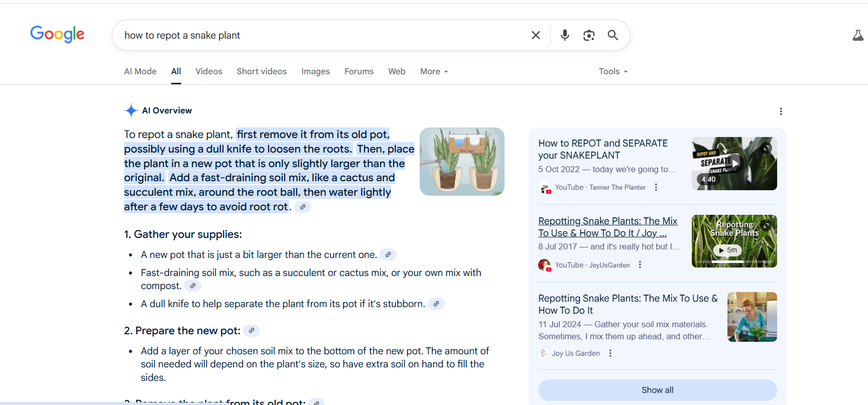snapshot-showing-ai-overviews-on-search